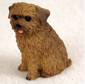 Norfolk Terrier Sitting - DTN64