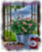 Rustic Rose Still Life Digital Watercolor Painting