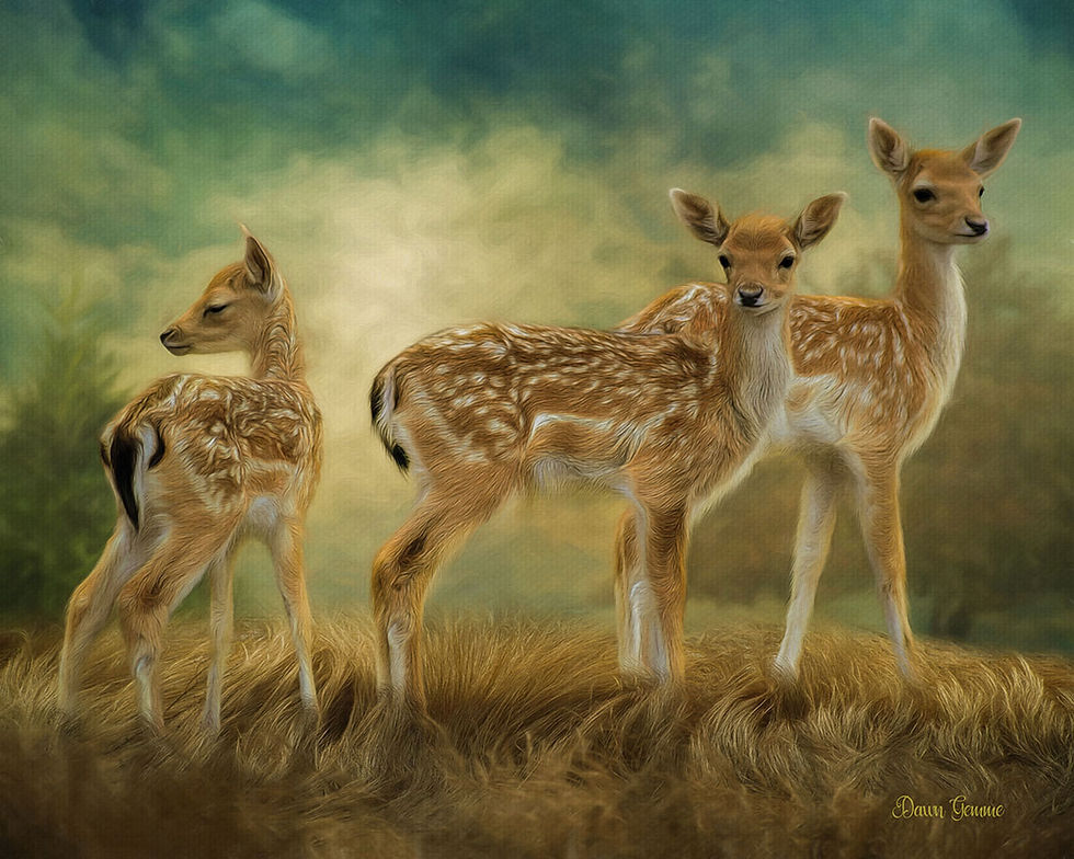 Three Tiny Fawns Wildlife Digital Painting
