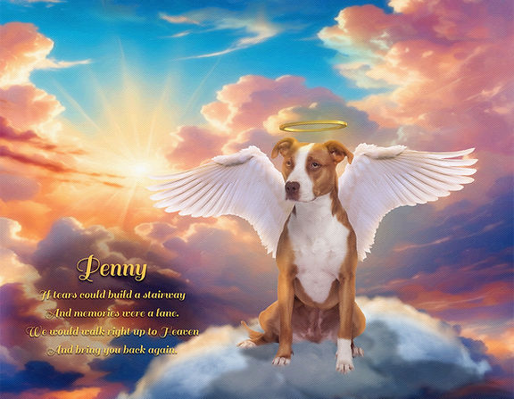Angel Pet Memorial Customized Photo Paintings