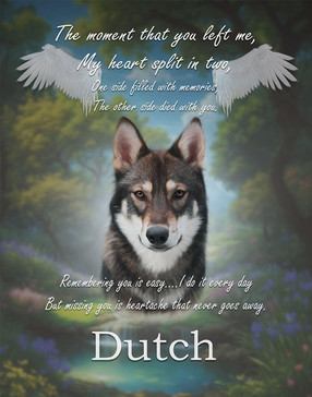 Heavens Garden Pet Memorial Customized Photo Paintings