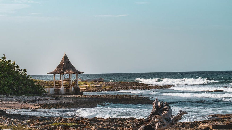 Rustic seaside gazebo with crashing Caribbean waves along Jamaica’s wild coast
