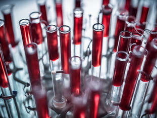 Revolutionary Dengue Treatment with Fast Platelet Increase
