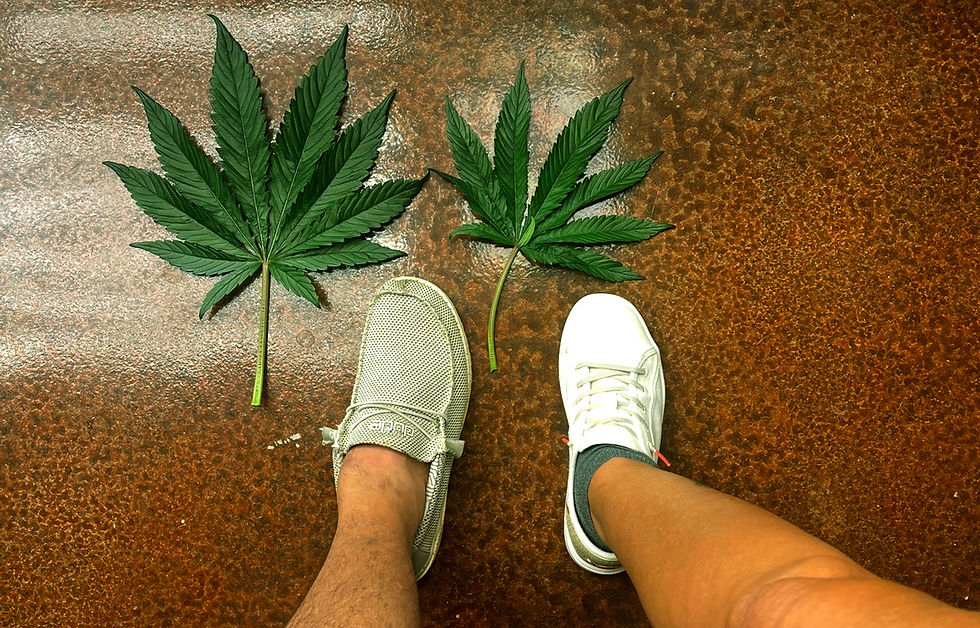 feetandleaf.jpg