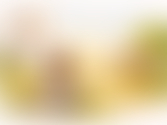 Integrating past experiences with gratitude and perspective while living forward