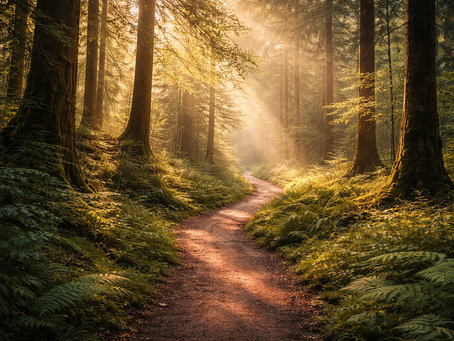 Finding Meaning in Life’s Defining Moments