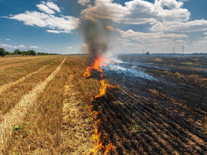 Doğayı Korumak için Anız Yakmaktan Vazgeçin!