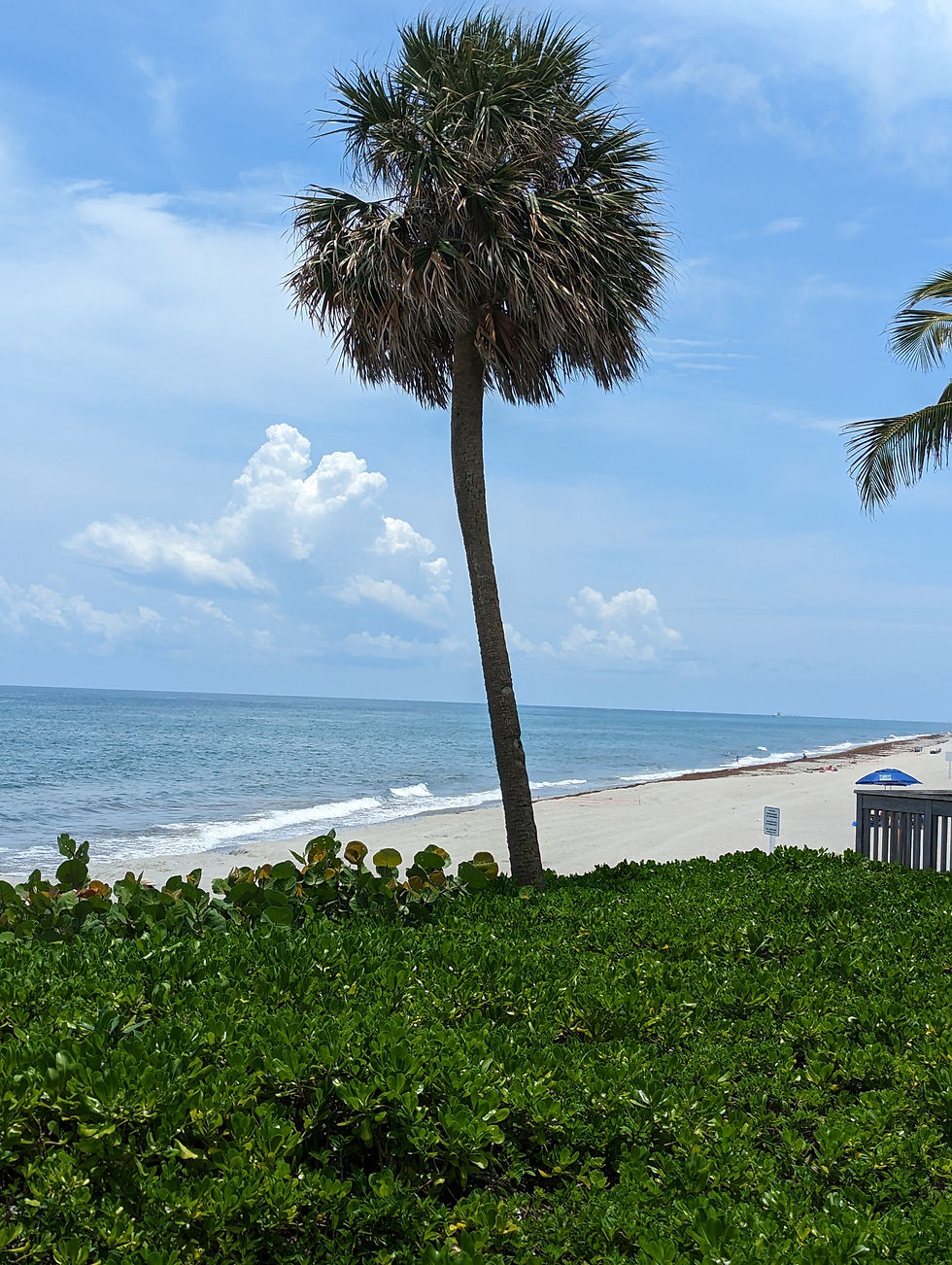 Deerfield beach, Florida