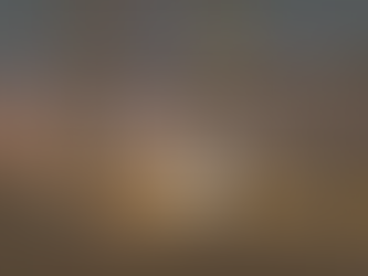 Job Vacancy: Senior Craftsperson