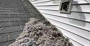 dryer roof.jpg