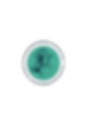 PNG sticker.png