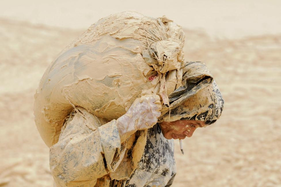 Tesla in the Danish Media