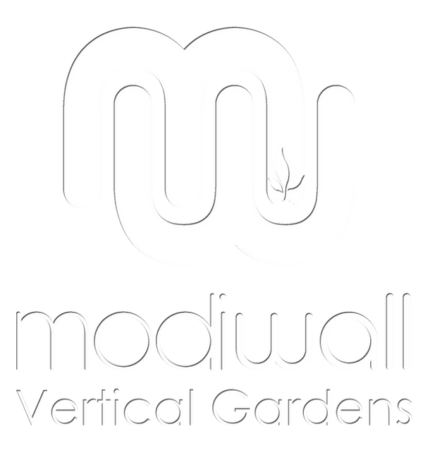 Vertical Garden System South Africa Modiwall Vertical Gardens