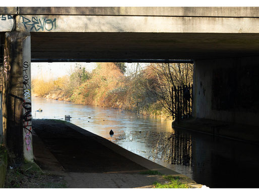 Why RAW is Better Than JPG: A Photographer's Insight