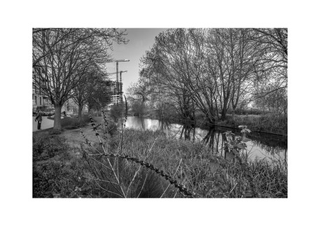 A black-and-white photograph showing Woodberry Wetlands in London, with trees and still water in the foreground, while towering construction cranes and modern apartment buildings rise in the background. Captured by Janusz Miarka, this image highlights the contrast between nature and urbanisation.