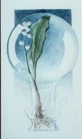 Aquarelles d'Isabelle Veret