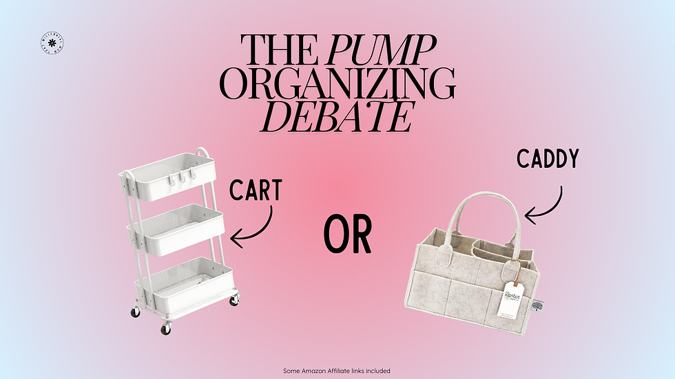 A blue and pink background that shows the title of the blog, a storage cart, and a diaper caddy
