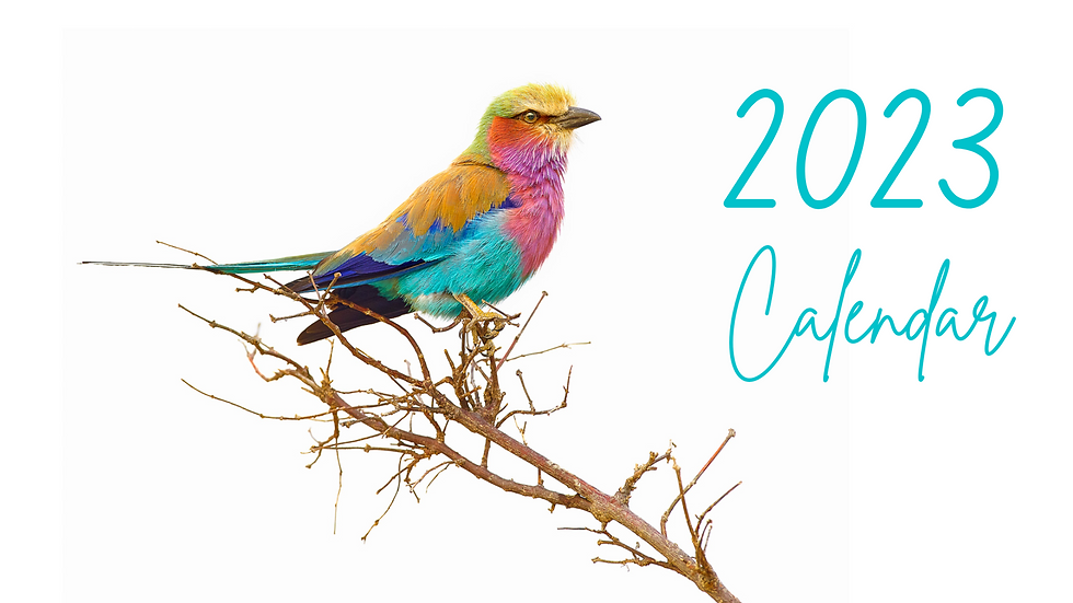 2023 Lilac Breasted Roller Calendar