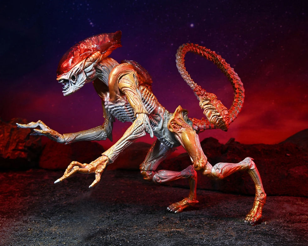 Miniatura: Aliens Panther Kenner Tribute - NECA
