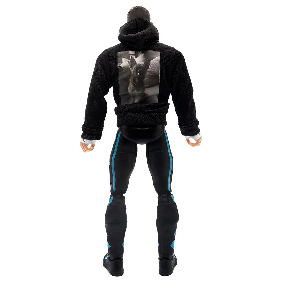 Miniatura: AEW Unmatched Collection – CM Punk