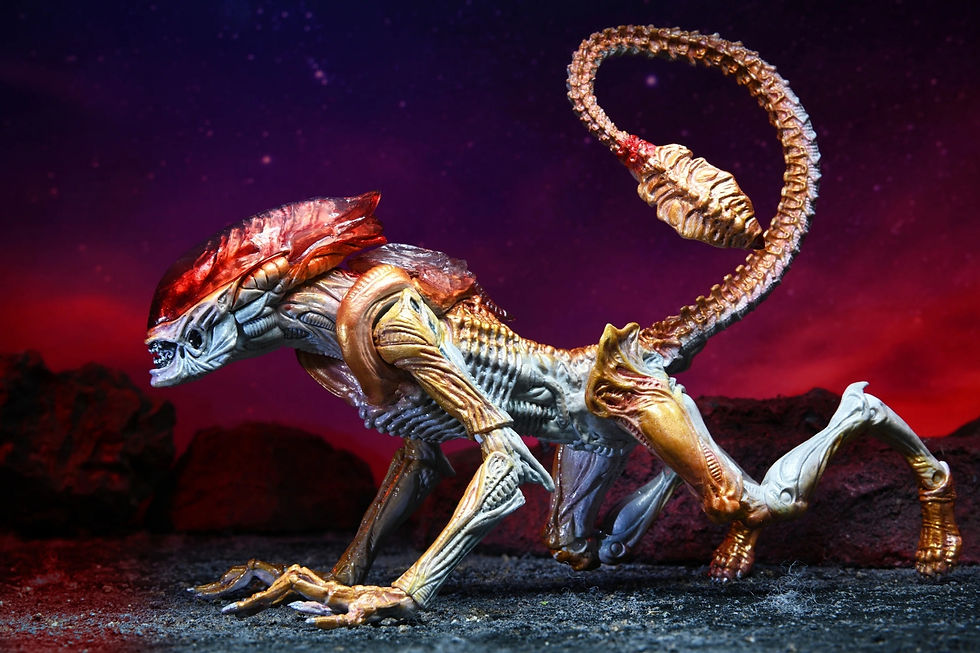 Miniatura: Aliens Panther Kenner Tribute - NECA