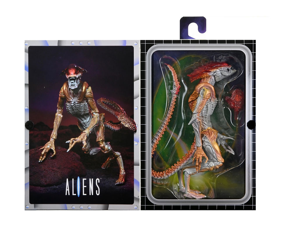 Miniatura: Aliens Panther Kenner Tribute - NECA