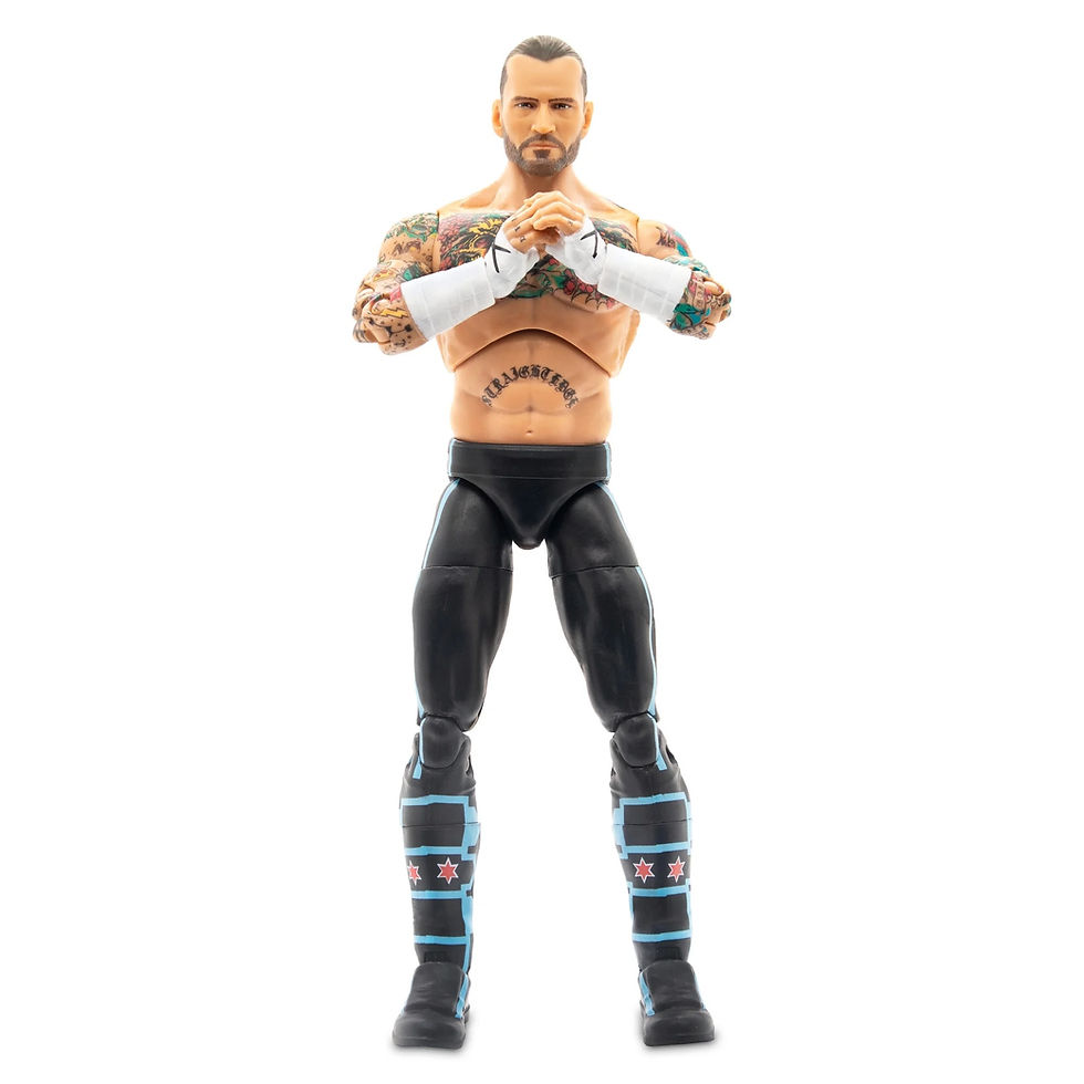 Miniatura: AEW Unmatched Collection – CM Punk
