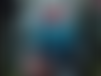 "Il Bosco" di Emanuele Tamborini