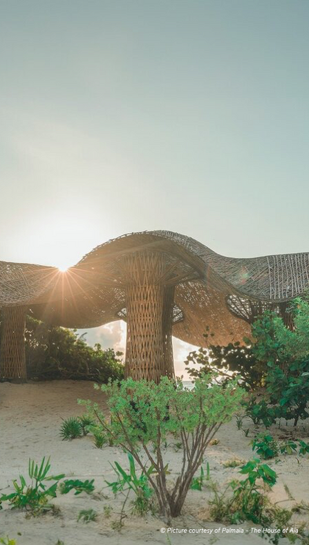 Tent in the shape of a mushroom 