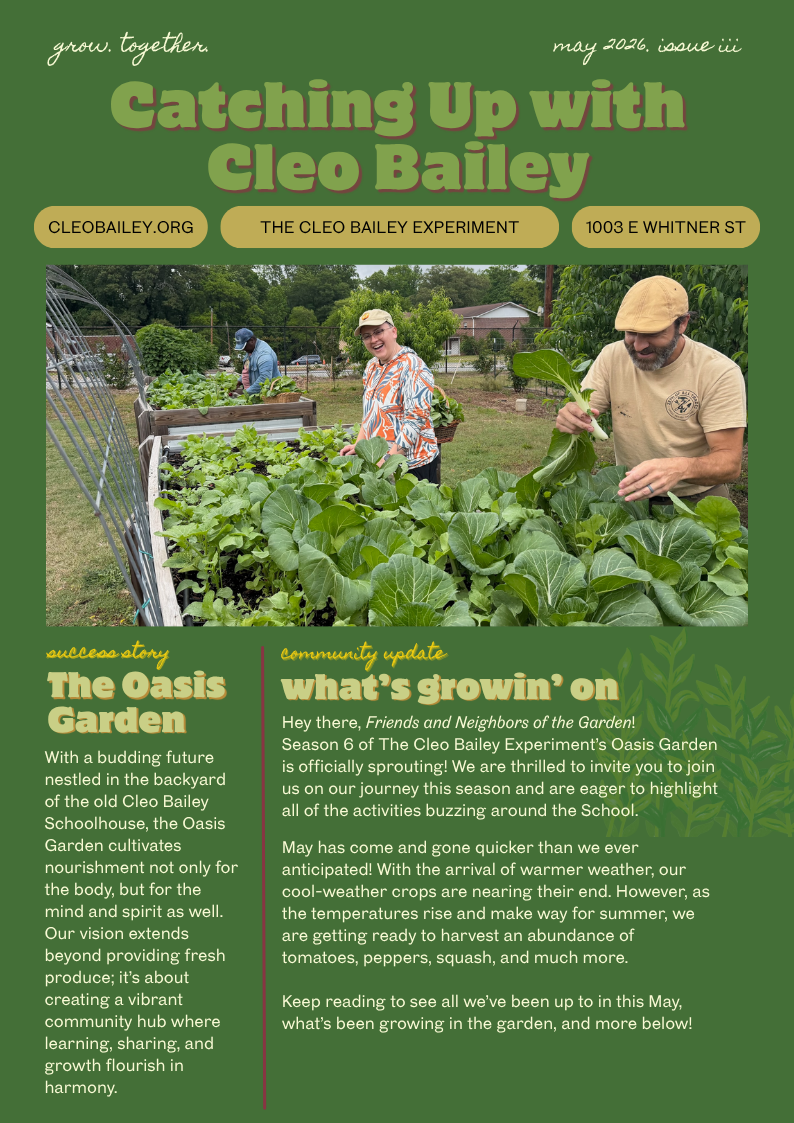Newsletter--Issue 3: May 2026
