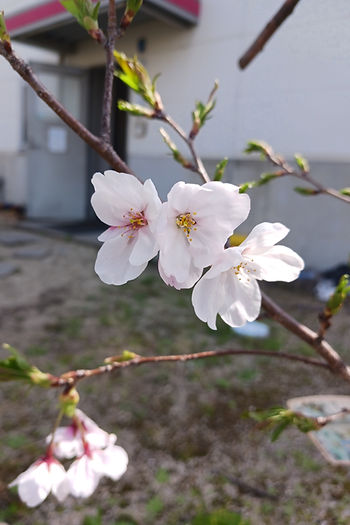 今