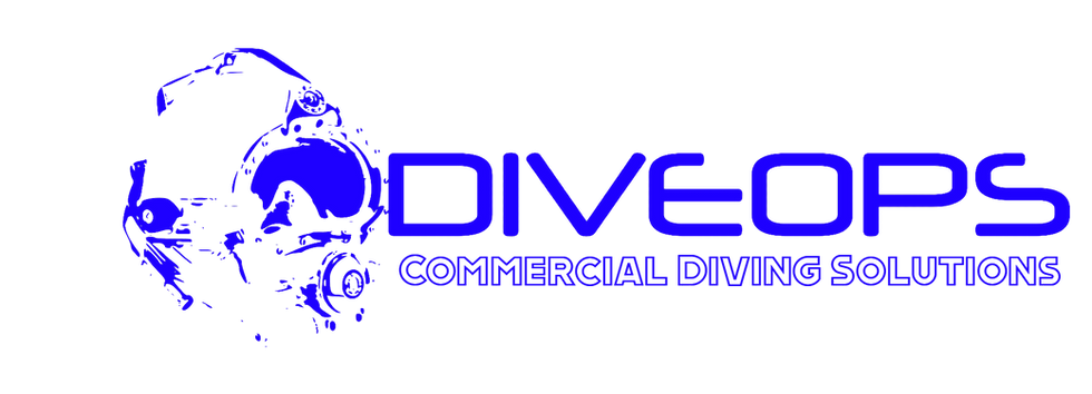 Logo33_edited.png