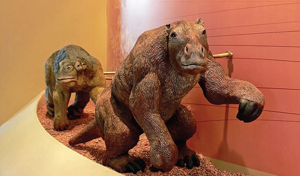 Paleontologia: Animais do Brasil