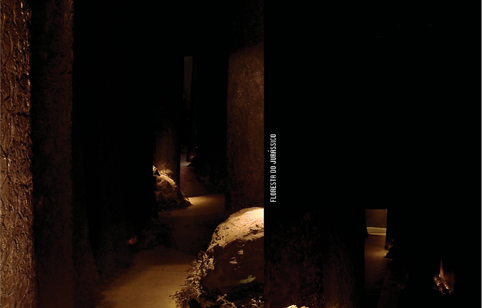 Caminhos do Passado: Floresta do Jurássico