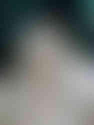 Inn at the Quay Wedding