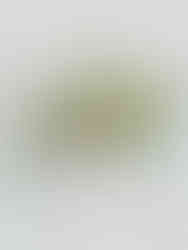 Todays Bride Magazine