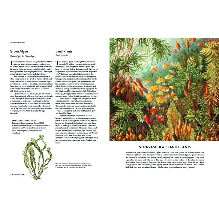Thumbnail: The Botanical Bible: Plants, Flowers, Art, Recipes & Other Home Uses