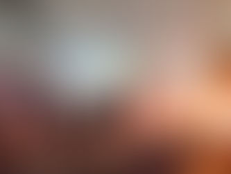 दिल्ली धमाके की जांच 