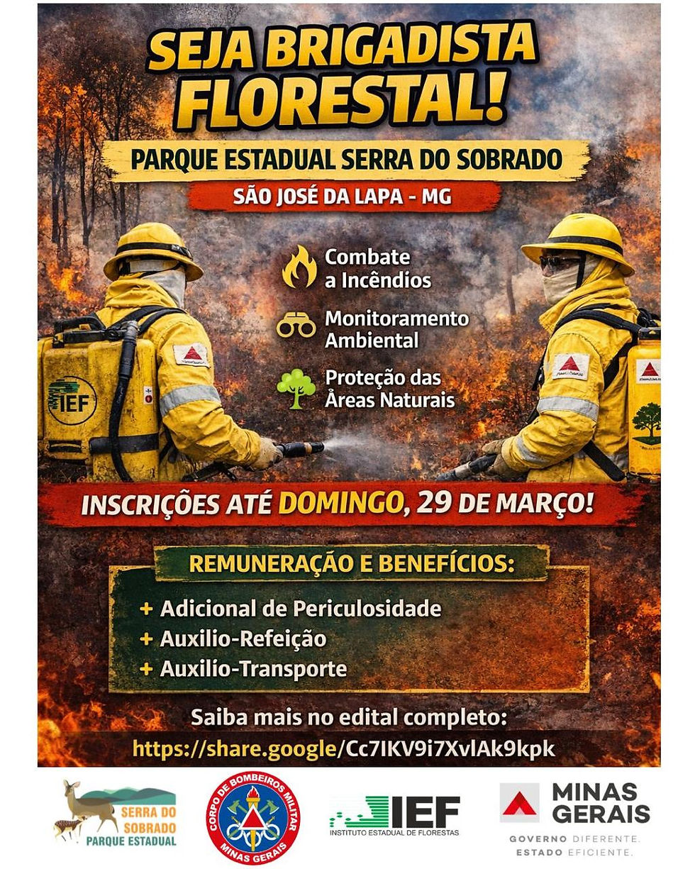 Seja Brigadista Florestal no Parque Estadual Serra do Sobrado! 🌿