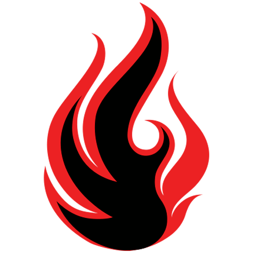 Join "Catalyst BJJ Online" on the Spaces by Wix App