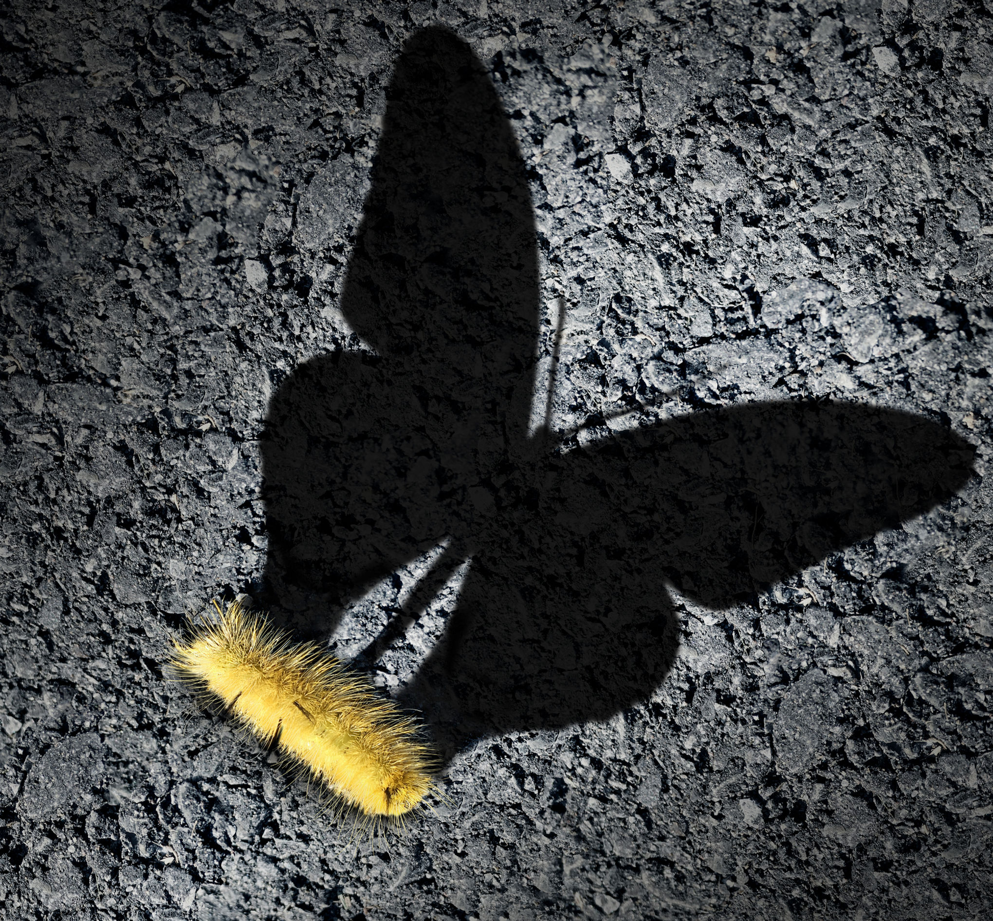 Digital Transformation Consulting