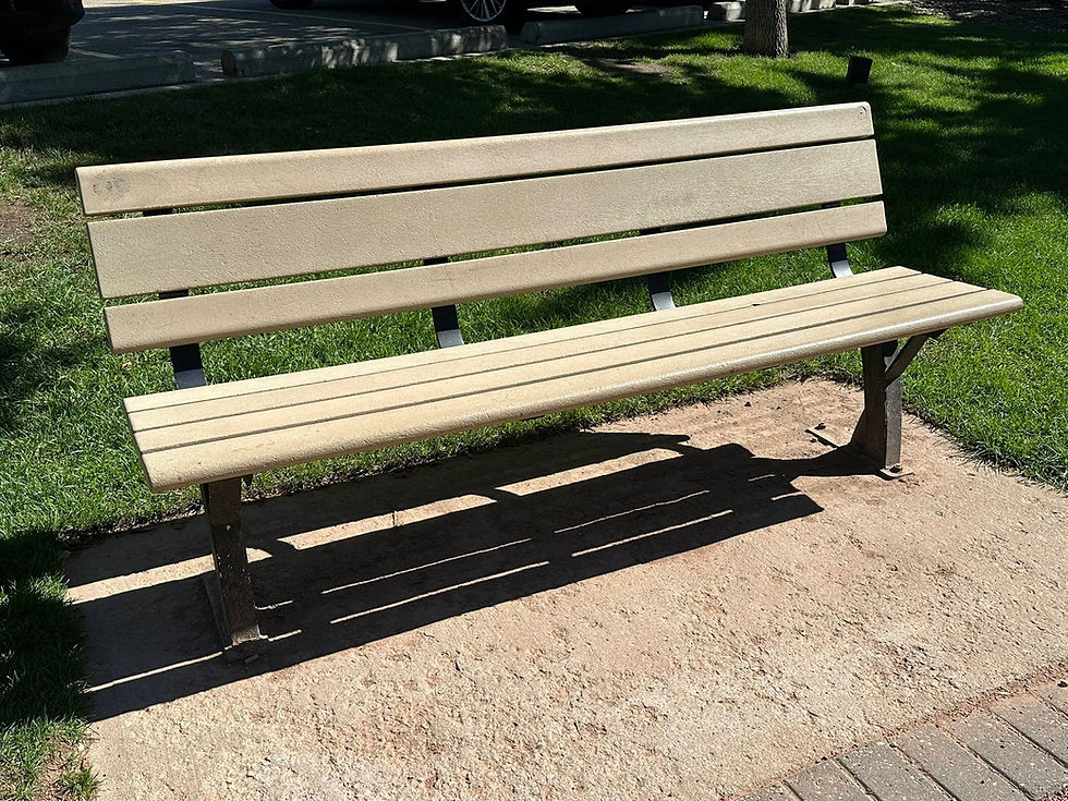 A empty bench in Central Park, Spruce Grove Alberta