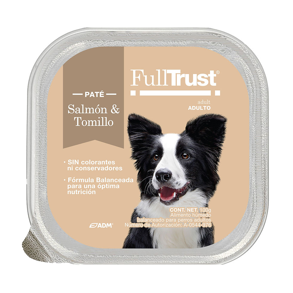 FullTrust Alimento Húmedo Receta Salmón y Tomillo para Perro Adulto, 100 g