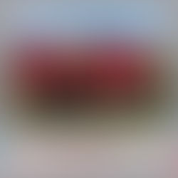 Mary Hearin Leads FC Copa Academy Girls 05 Red Team to Finalists At EDP Fall Showcase