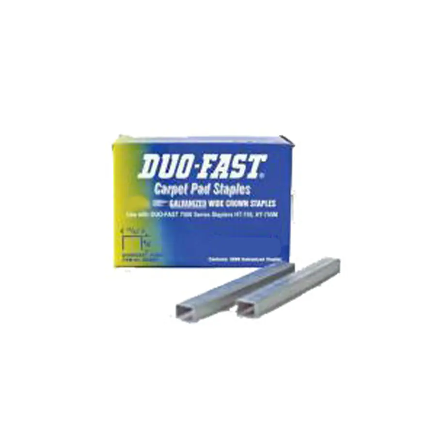 duofast staples.webp