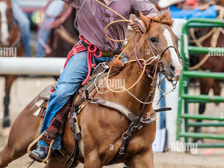 Having trouble roping in your Finances?