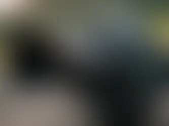 Unleashing the Power of Compound Interest: How to Make it Work for You and Build Wealth Confidently