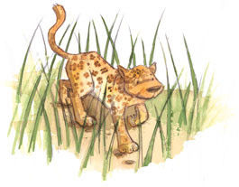 Miniature : Aux quatre coins du monde