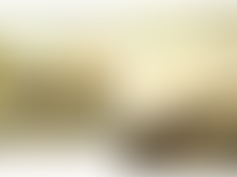 Travels, Memories and Family Stories from the 19th Century