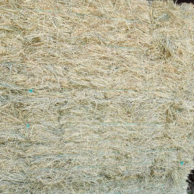 hay for sale, Aiken, South Carolina, Georgia, horse hay
